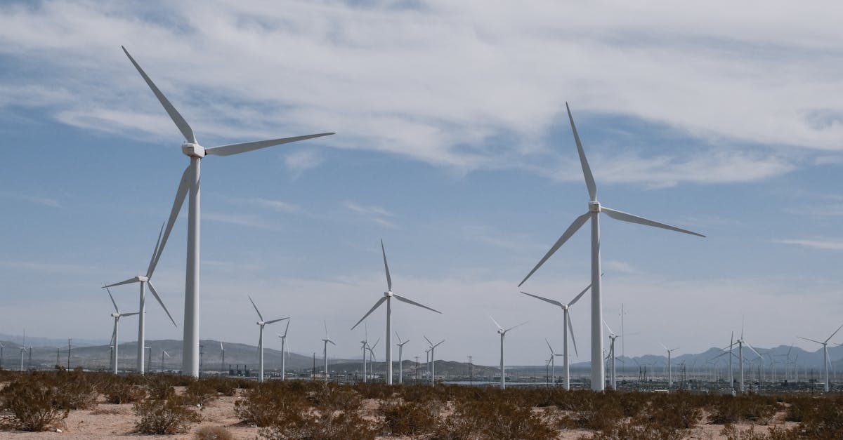 découvrez les principes de l'investissement durable, une approche éthique et responsable qui vise à générer des rendements financiers tout en favorisant le développement environnemental et social. engager votre capital dans des projets durables pour un avenir meilleur.