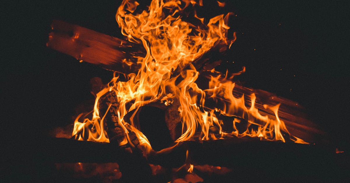 découvrez tout sur les wildfires : causes, impacts environnementaux, prévention et conseils essentiels pour faire face aux feux de forêt.