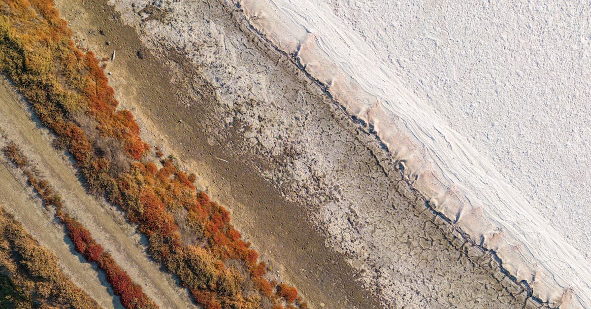 découvrez les coûts économiques et environnementaux du changement climatique et les implications pour notre avenir.