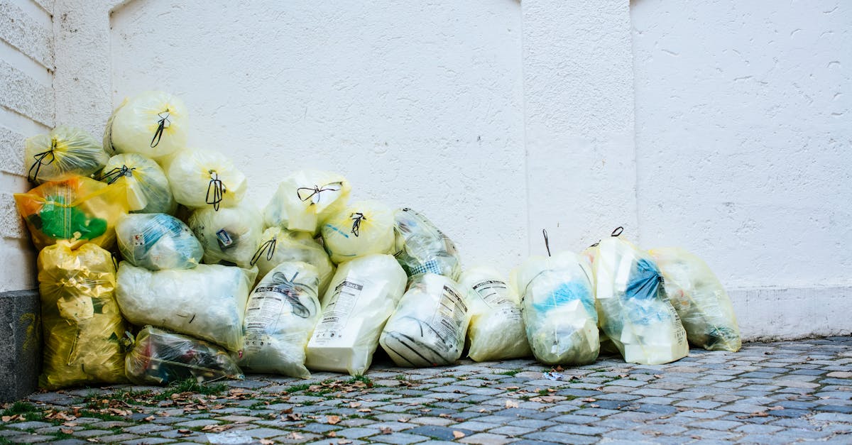 service de collecte des déchets efficace et respectueux de l'environnement pour un cadre de vie propre et sain.