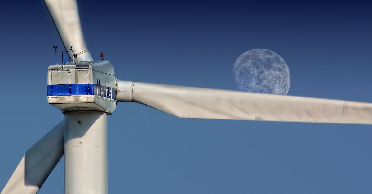 découvrez comment les technologies durables transforment nos modes de vie et favorisent un avenir respectueux de l’environnement. solutions innovantes, énergies renouvelables et pratiques responsables au service d’un monde plus vert.