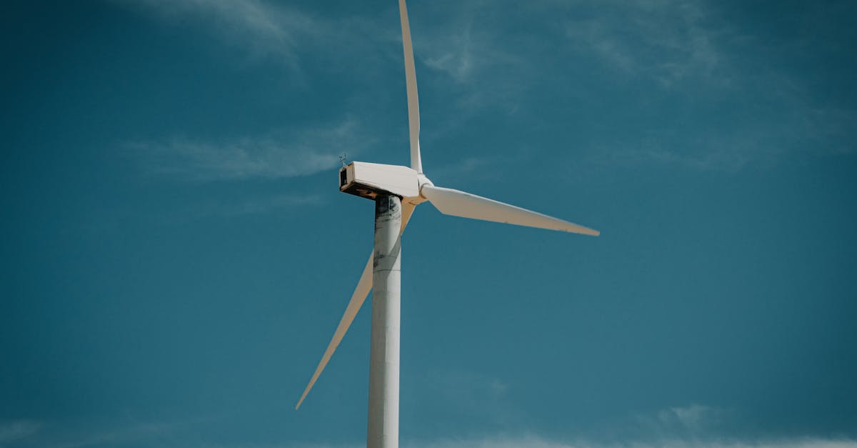 découvrez nos initiatives et conseils pour promouvoir la durabilité et protéger l'environnement pour un avenir responsable et écologique.