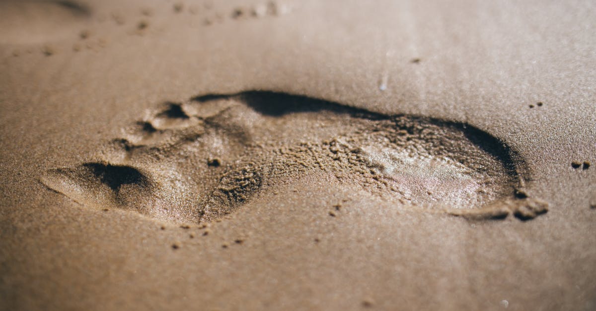 découvrez ce qu'est l'empreinte écologique, son impact sur notre planète, et comment réduire votre consommation de ressources naturelles pour un mode de vie durable.