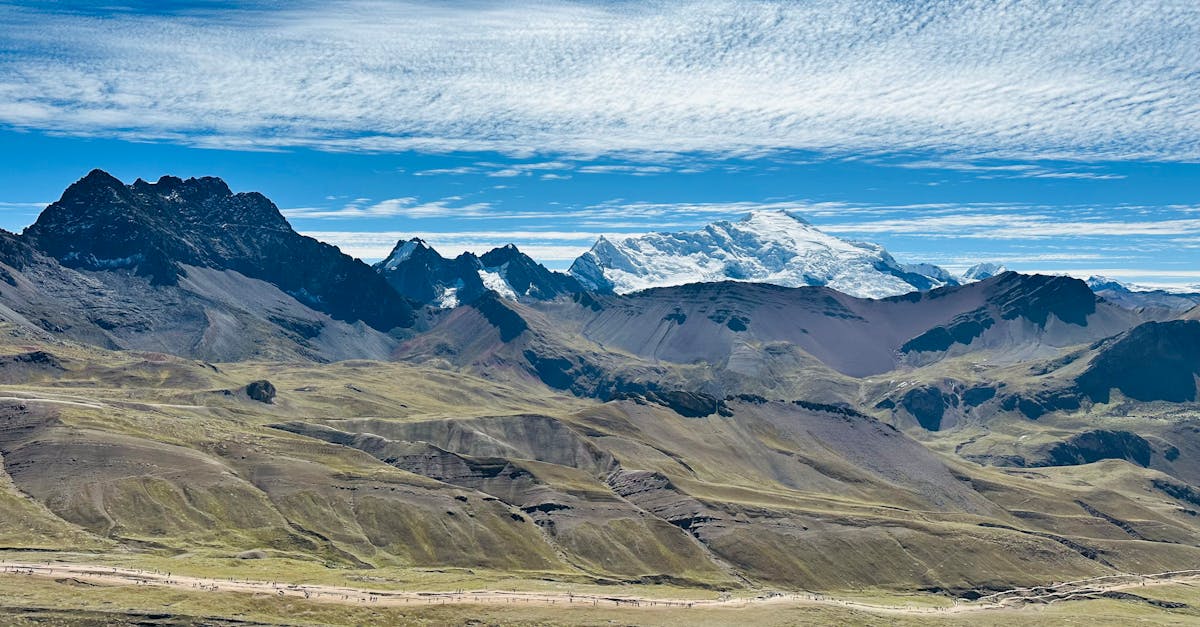découvrez comment la mobilisation pour le climat peut transformer notre société. informez-vous sur les actions, initiatives et solutions concrètes pour lutter contre le changement climatique et préserver la planète.