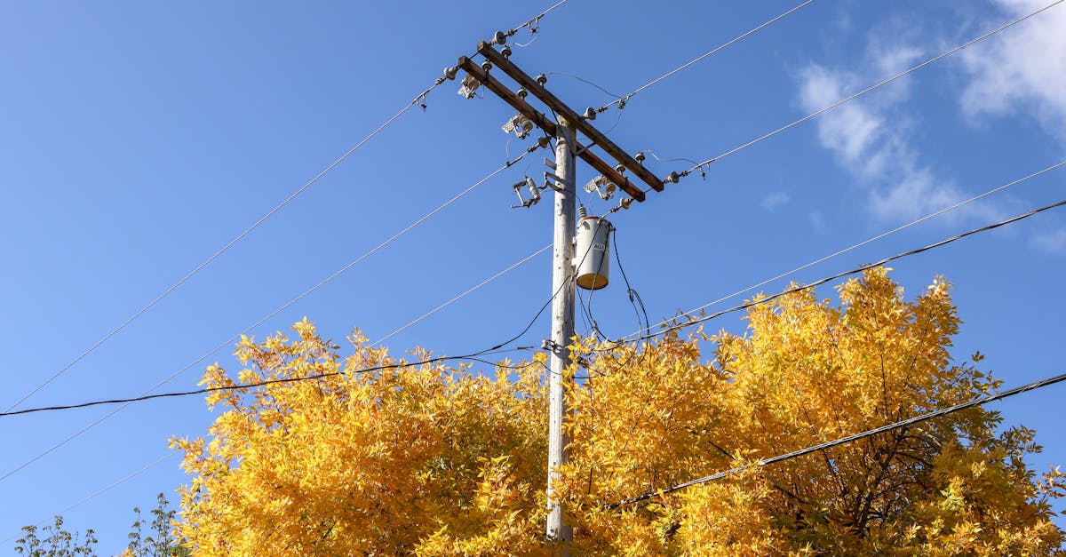 découvrez les enjeux et les solutions de la transition électrique pour un futur énergétique durable et respectueux de l'environnement.