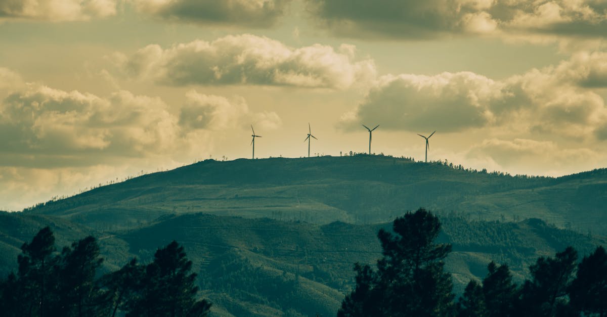 découvrez comment adopter un mode de consommation durable pour préserver notre planète tout en répondant à vos besoins. apprenez des astuces pratiques pour réduire votre empreinte écologique, sélectionner des produits responsables et faire des choix éclairés qui favorisent un avenir meilleur.