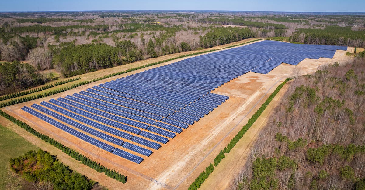 découvrez comment le développement durable peut façonner un avenir meilleur. explorez les initiatives, les stratégies et les actions visant à préserver notre planète tout en favorisant le progrès économique et social.