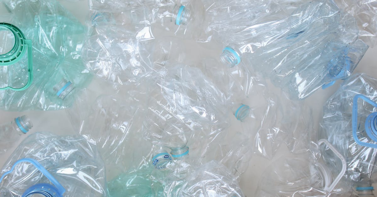 découvrez l'importance du recyclage pour préserver notre planète. apprenez comment trier vos déchets, réduire votre empreinte écologique et contribuer à la durabilité environnementale à travers des gestes simples du quotidien.