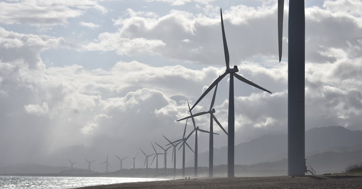 découvrez les principes du développement durable et leur importance pour préserver notre planète. apprenez comment adopter des pratiques respectueuses de l'environnement pour assurer un avenir équilibré et responsable.
