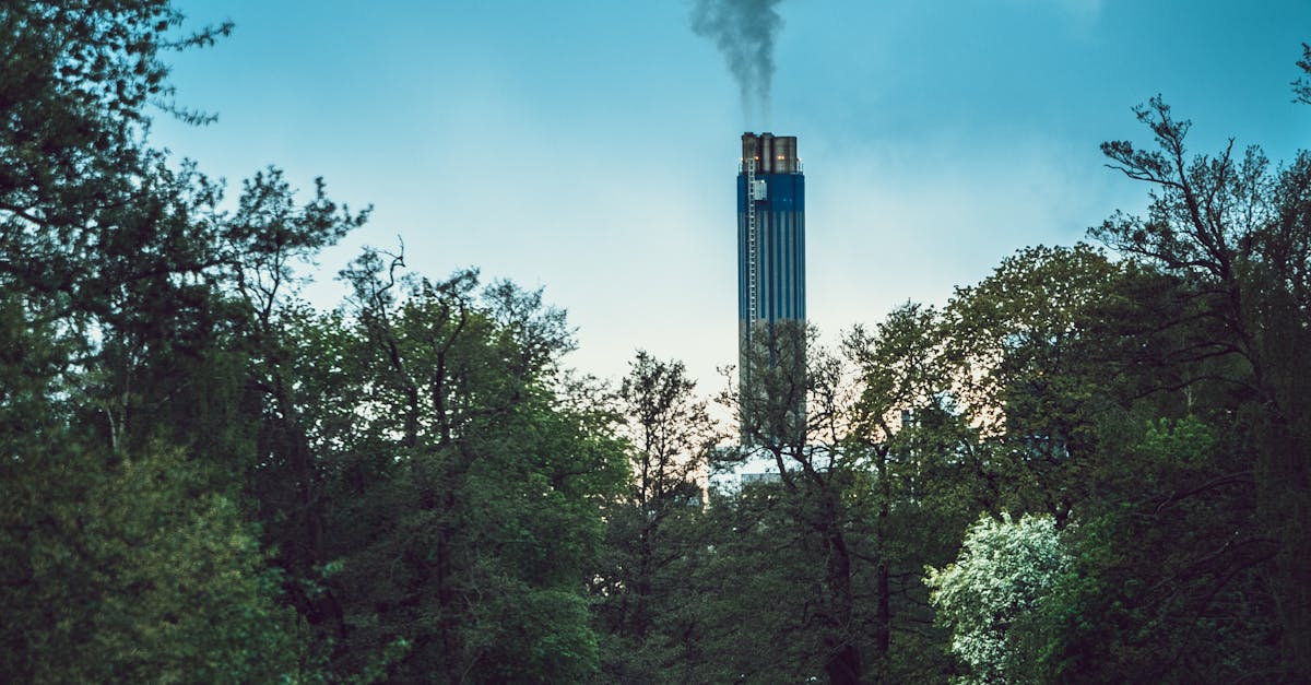 découvrez le carbon score, un indicateur clé pour mesurer et réduire votre empreinte carbone, contribuant ainsi à un avenir plus durable.