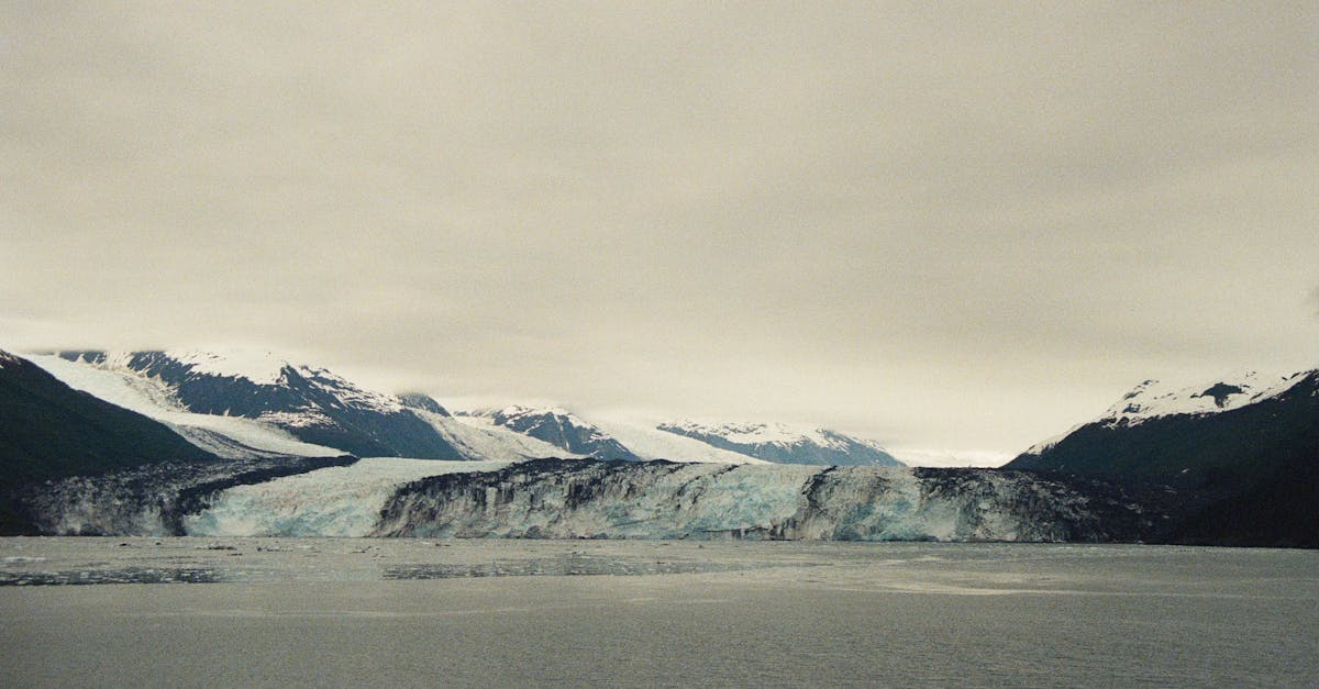 découvrez comment la mobilisation pour le climat engage citoyens, entreprises et gouvernements à agir ensemble pour limiter le réchauffement climatique et bâtir un avenir durable.