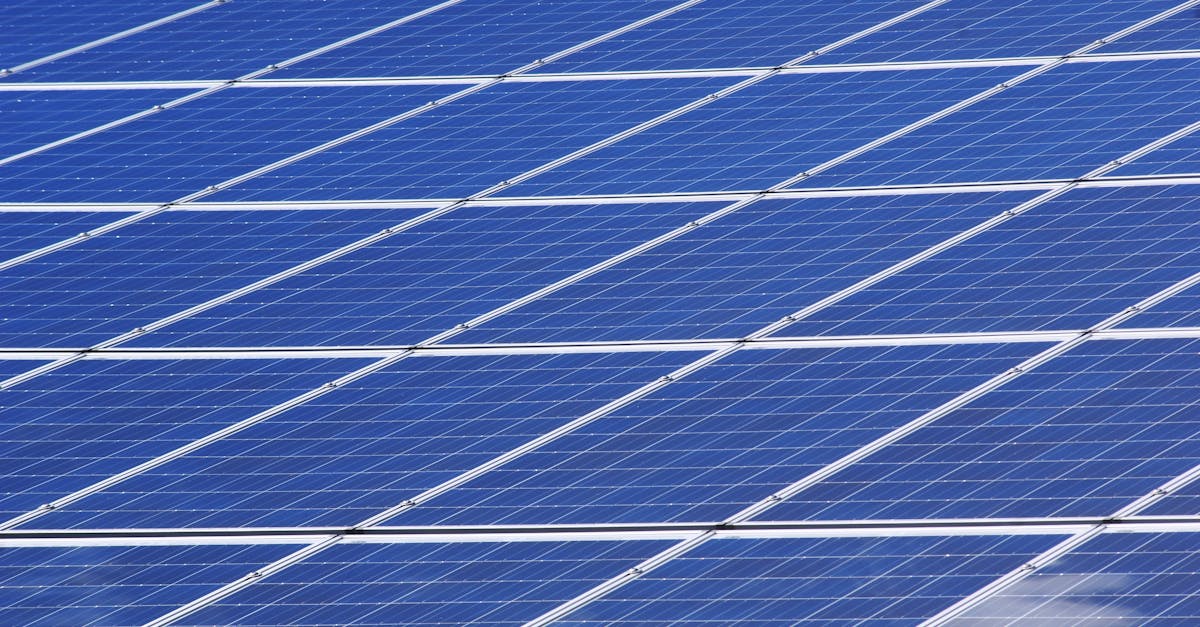 découvrez comment la durabilité façonne notre avenir, en explorant des pratiques écologiques, des initiatives responsables et des solutions innovantes pour préserver notre planète pour les générations futures.