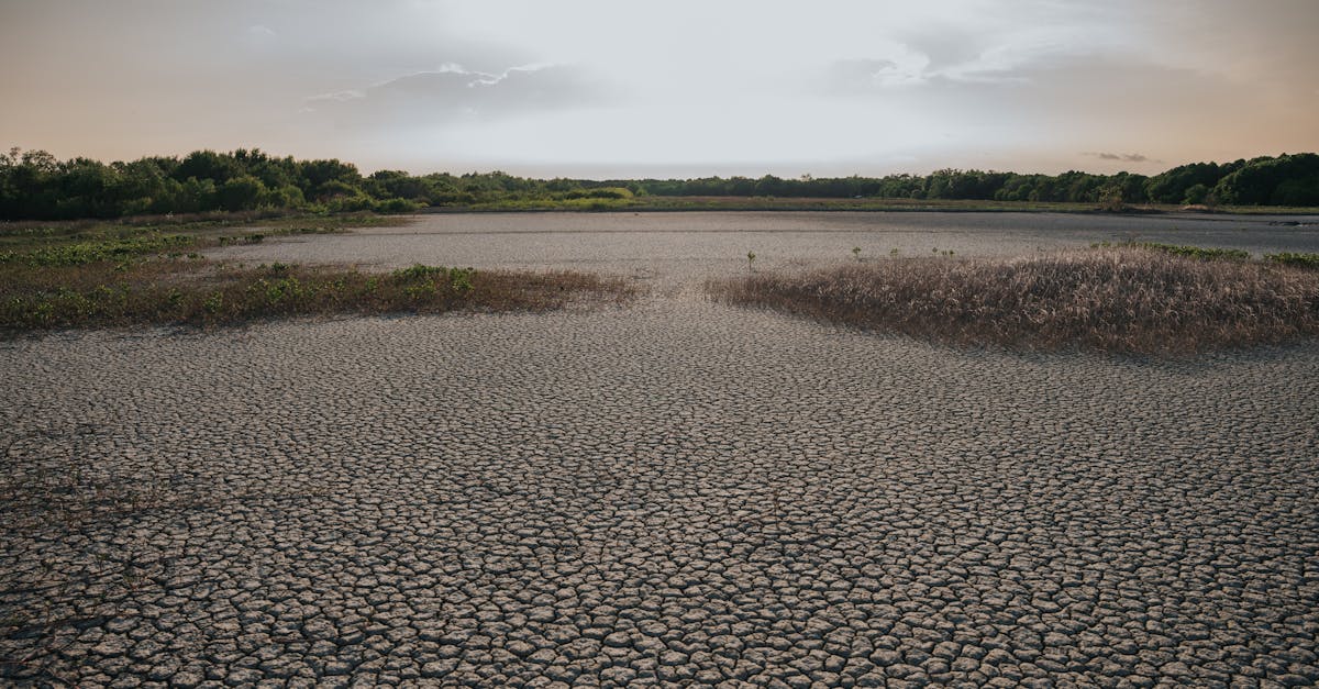 Étude révèle que le réchauffement climatique et la pollution amplifient le risque d’accidents vasculaires cérébraux