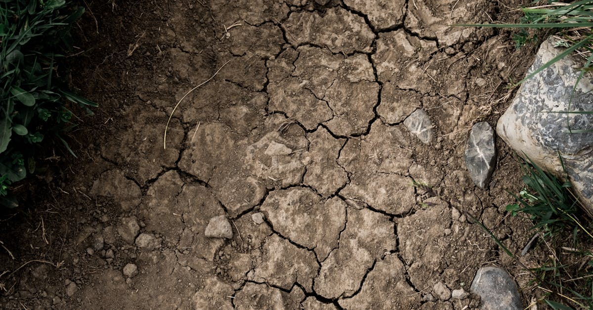 Sécheresse en Bretagne : comment la région s’organise pour éviter la pénurie d’eau