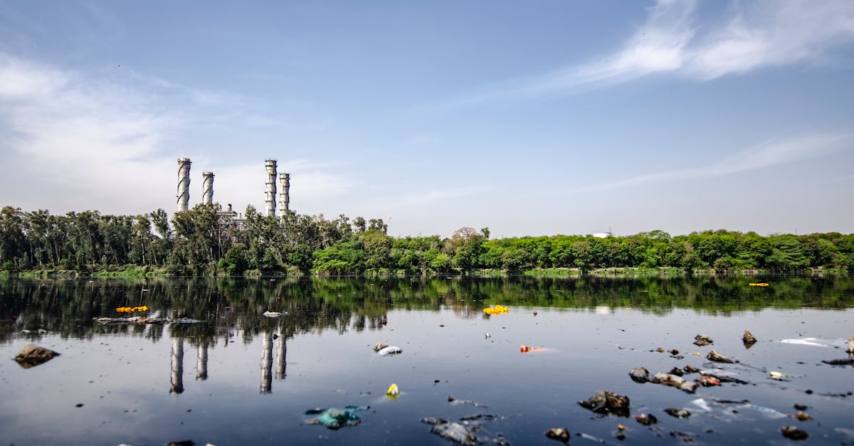 Pollution : Comprendre ses causes et ses impacts sur l’environnement