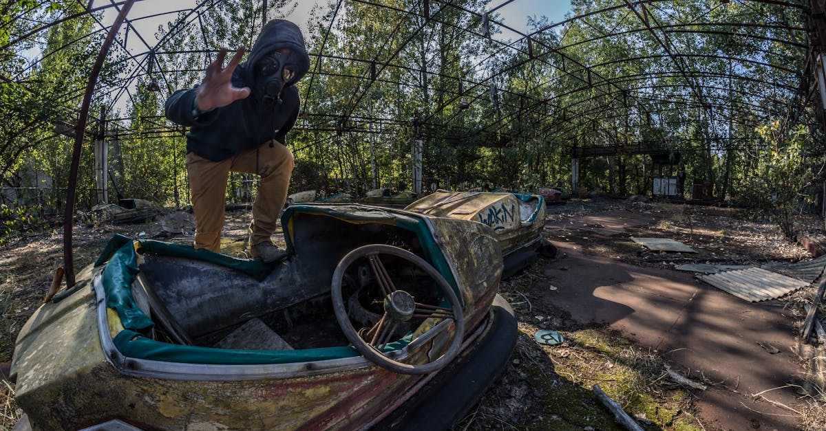Tchernobyl 40 ans après : une faune encore marquée par la radioactivité