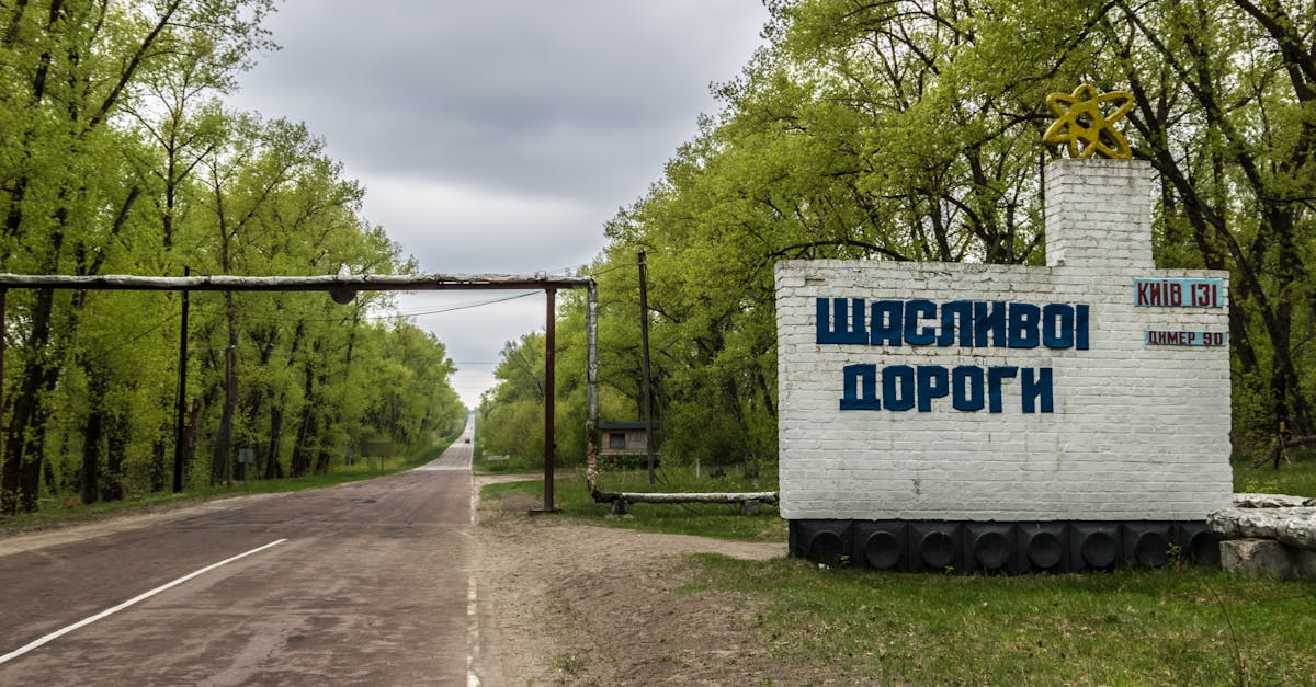 Tchernobyl 40 ans après : la vie animale encore marquée par la radioactivité