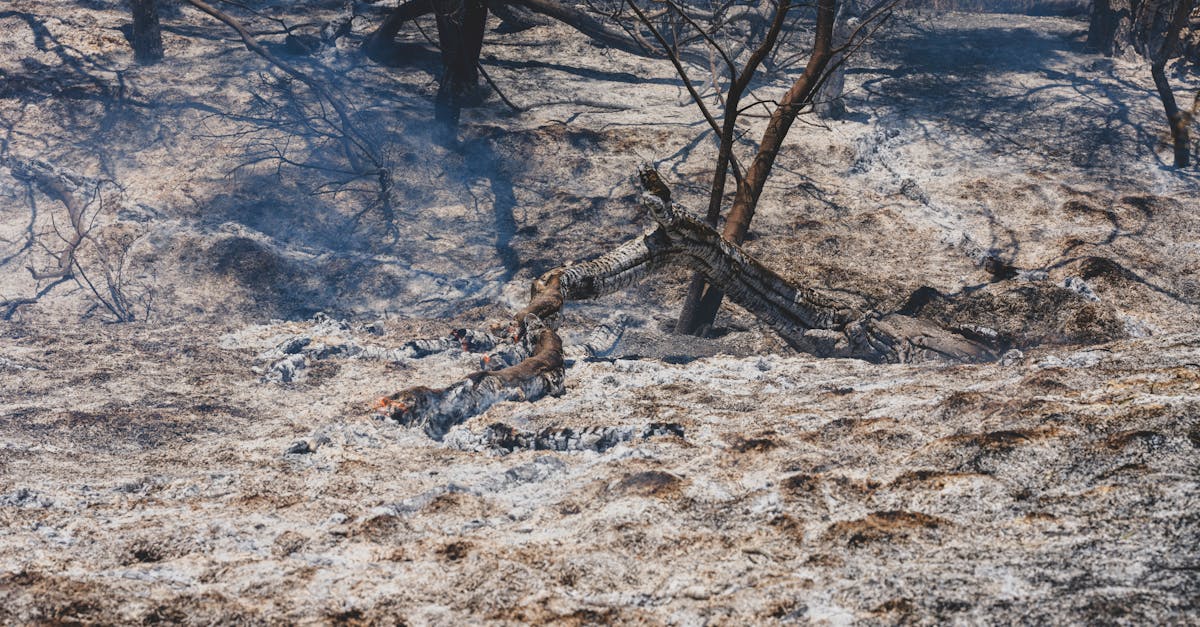 Climat : l’impact écologique des modes de vie des hommes blancs privilégiés sous le feu des critiques