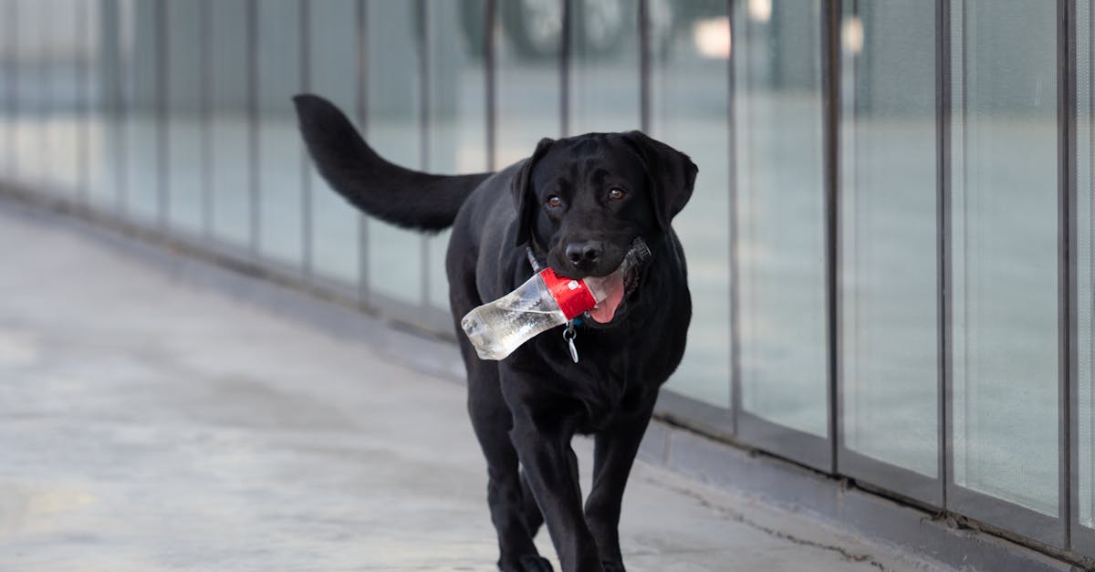 découvrez eco-loyalty, le programme de fidélité éco-responsable qui récompense vos achats durables tout en protégeant la planète.
