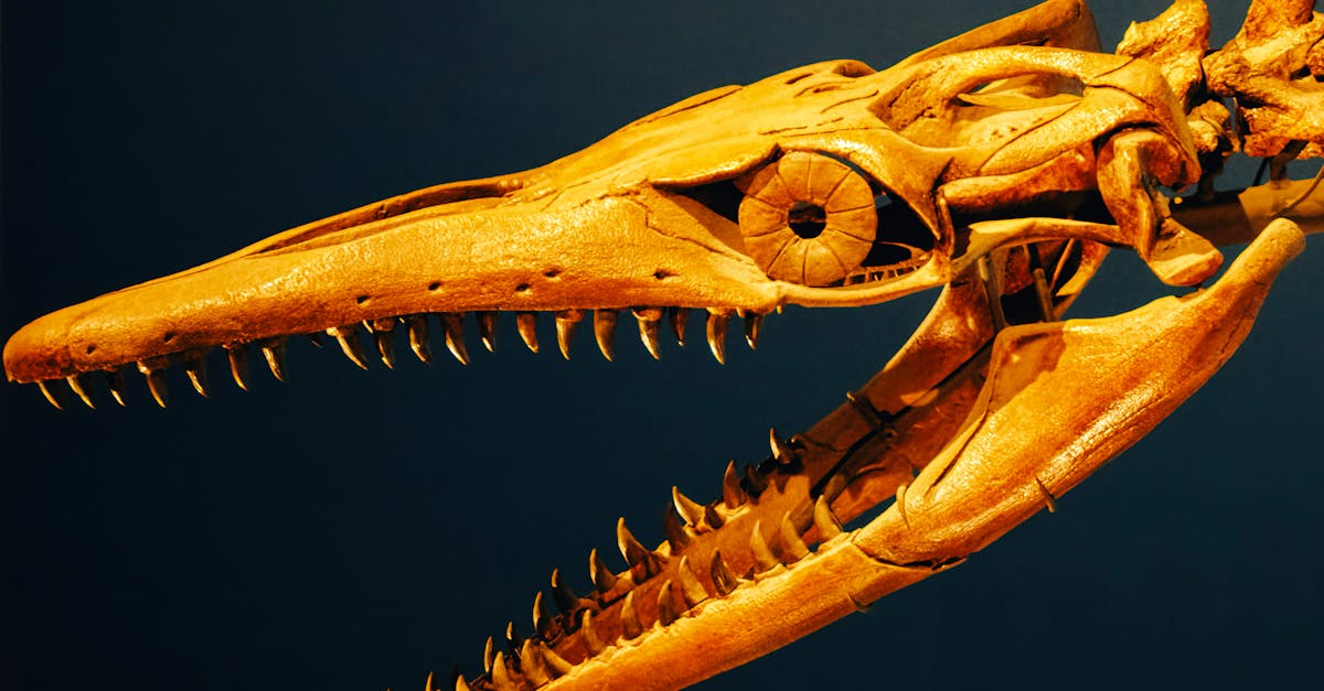 découvrez les causes, les conséquences et les solutions pour lutter contre l'extinction des espèces et préserver la biodiversité de notre planète.