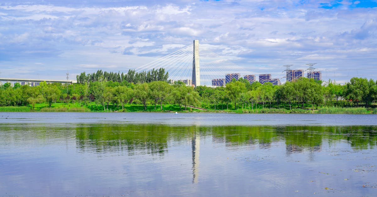découvrez des informations essentielles sur l'environnement, les enjeux écologiques et les solutions pour préserver notre planète.
